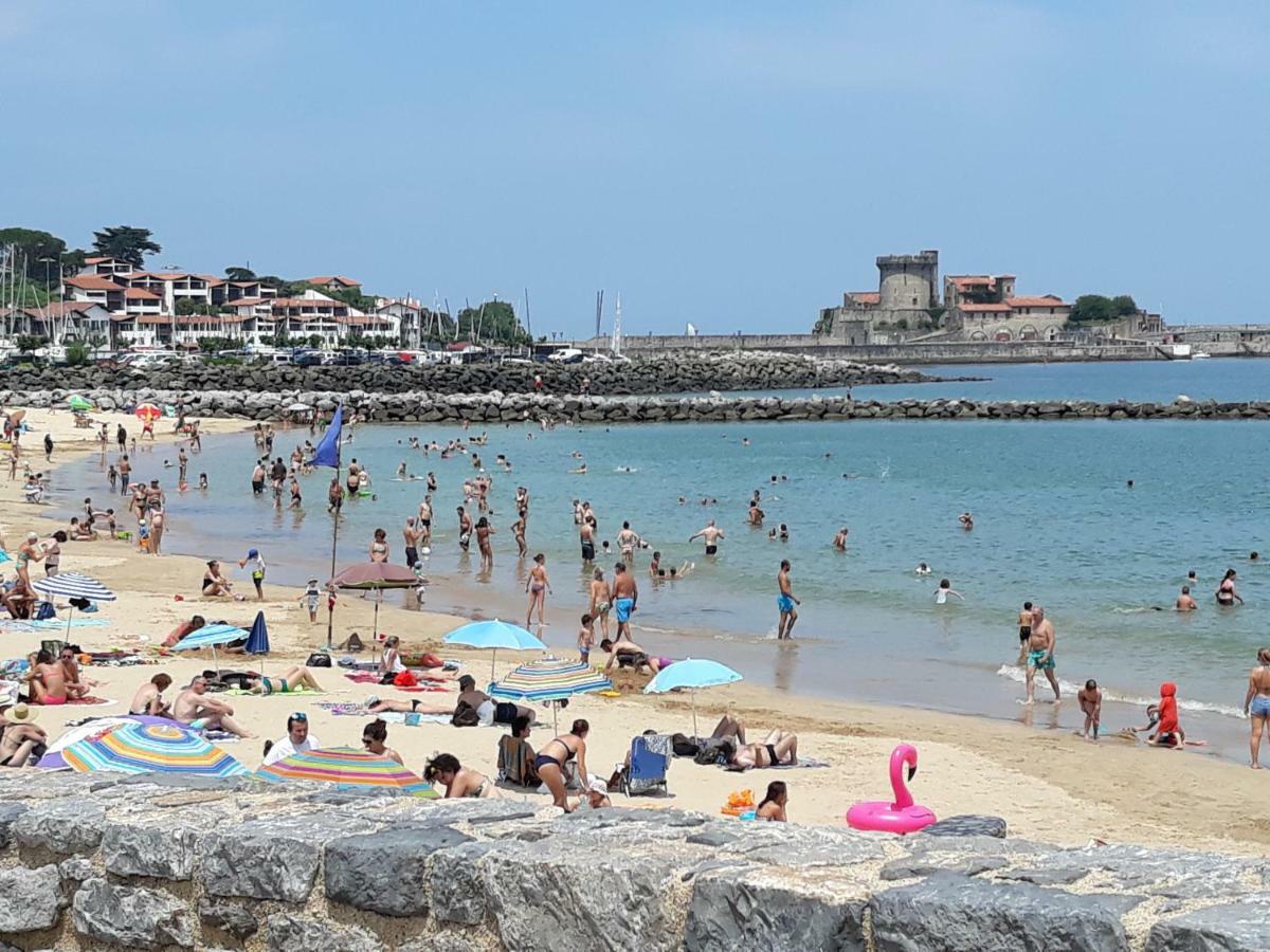 Studio Haut De Bordagain Ciboure Εξωτερικό φωτογραφία